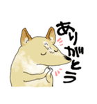 犬のち～さんスタンプ（個別スタンプ：3）