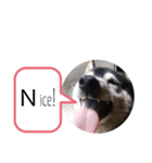 N i c e ！（個別スタンプ：1）