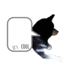 N i c e ！（個別スタンプ：7）