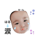 はる坊ちゃんとfamilyスタンプ（個別スタンプ：3）