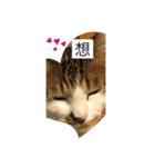 どアップすたんぷ（個別スタンプ：6）