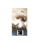 どアップすたんぷ（個別スタンプ：7）