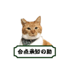 たわしときい1（個別スタンプ：2）