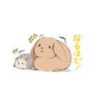 愉快な動物たち by update（個別スタンプ：6）