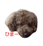 プーちゃんフクちゃん兄弟（個別スタンプ：2）