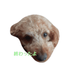 プーちゃんフクちゃん兄弟（個別スタンプ：7）