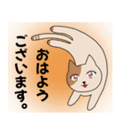 目が可愛い猫2匹第二弾（個別スタンプ：6）