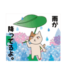 目が可愛い猫2匹第二弾（個別スタンプ：21）