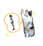 なっこたんの1日（個別スタンプ：6）