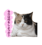 なっこたんの1日（個別スタンプ：12）