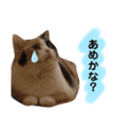 なっこたんの1日（個別スタンプ：13）