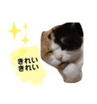 なっこたんの1日（個別スタンプ：14）