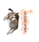 なっこたんの1日（個別スタンプ：15）