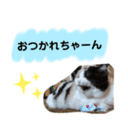 なっこたんの1日（個別スタンプ：18）