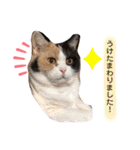 なっこたんの1日（個別スタンプ：20）