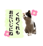 なっこたんの1日（個別スタンプ：24）