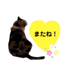 なっこたんの1日（個別スタンプ：25）