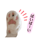 なっこたんの1日（個別スタンプ：28）