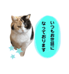なっこたんの1日（個別スタンプ：29）