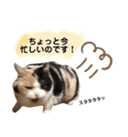 なっこたんの1日（個別スタンプ：31）