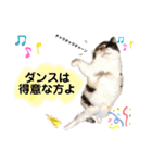 なっこたんの1日（個別スタンプ：35）