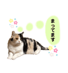 なっこたんの1日（個別スタンプ：36）