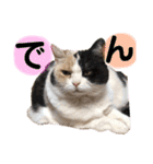 なっこたんの1日（個別スタンプ：37）