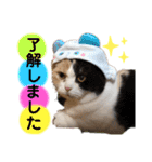 なっこたんの1日（個別スタンプ：38）