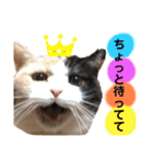 なっこたんの1日（個別スタンプ：40）