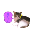 マイすたんぷ◡̈⋆*（個別スタンプ：1）