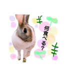 マイすたんぷ◡̈⋆*（個別スタンプ：3）
