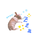マイすたんぷ◡̈⋆*（個別スタンプ：4）