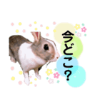 マイすたんぷ◡̈⋆*（個別スタンプ：8）