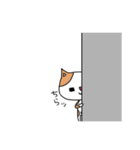 まぁくんと太郎（個別スタンプ：19）