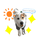 お兄ちゃんと僕。（個別スタンプ：2）