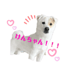 お兄ちゃんと僕。（個別スタンプ：5）