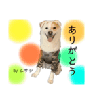 お兄ちゃんと僕。（個別スタンプ：8）
