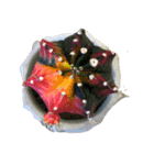 YutaRou スタンプ4（個別スタンプ：19）
