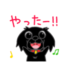 くろわんこ！ビビのスタンプ（個別スタンプ：1）