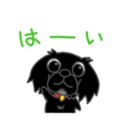 くろわんこ！ビビのスタンプ（個別スタンプ：2）