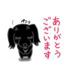くろわんこ！ビビのスタンプ（個別スタンプ：10）