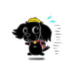 くろわんこ！ビビのスタンプ（個別スタンプ：20）