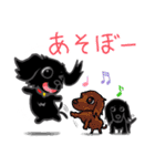 くろわんこ！ビビのスタンプ（個別スタンプ：21）