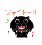 くろわんこ！ビビのスタンプ（個別スタンプ：25）
