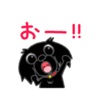 くろわんこ！ビビのスタンプ（個別スタンプ：26）