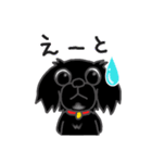くろわんこ！ビビのスタンプ（個別スタンプ：30）