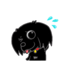 くろわんこ！ビビのスタンプ（個別スタンプ：31）