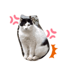 私のすきな（個別スタンプ：1）