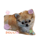 私のすきな（個別スタンプ：6）