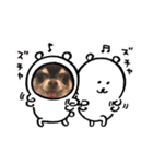 らぶさんまろさんスタンプ（個別スタンプ：9）